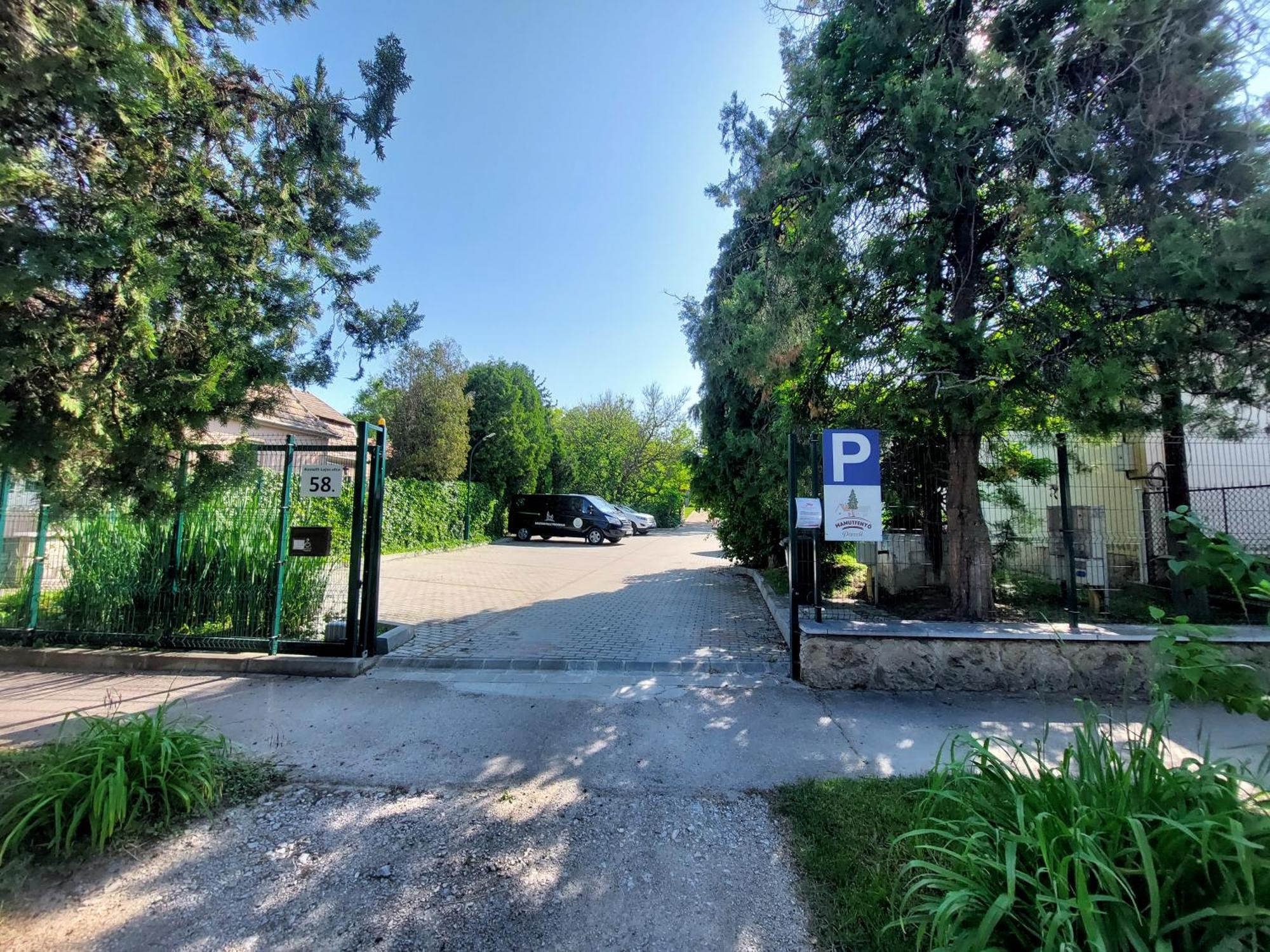 Bed and Breakfast Mamutfenyo Panzio Тата Екстер'єр фото